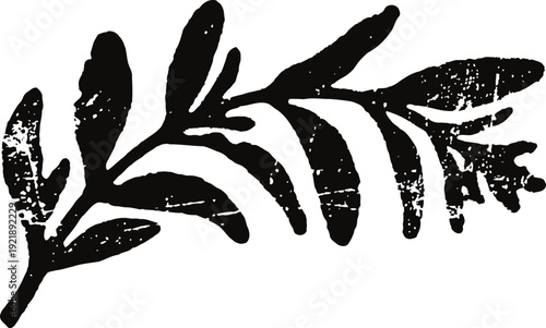 Grunge black ink olive branch silhouette with leaves and fruit illustration