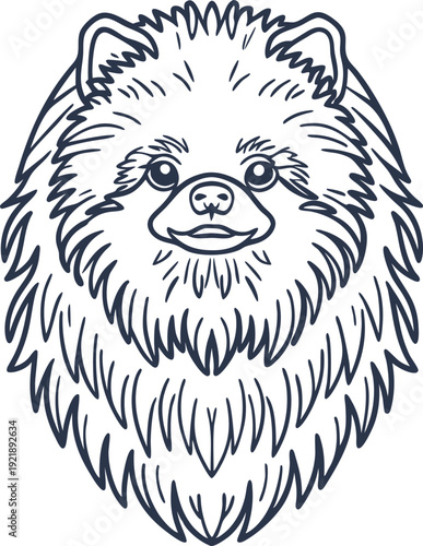 Pomeranian dog face line art fluffy small breed portrait with detailed fur and happy expression