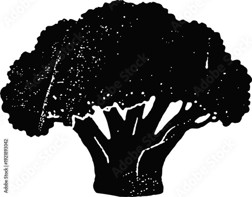 Black silhouette of broccoli vegetable with detailed florets and thick stalk shape