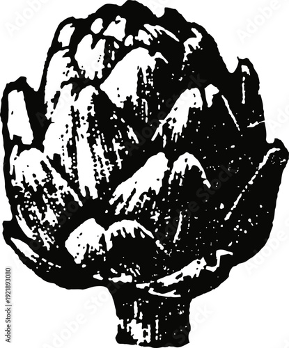 Black and white vintage artichoke illustration with detailed leaves and stem
