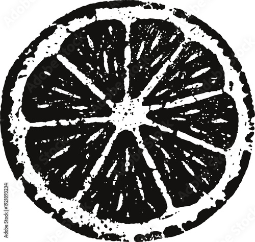 Black and white citrus fruit slice illustration citrus segment texture fresh citrus design element, healthy fruit detail