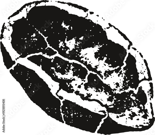 Single coffee bean close up illustration detailed texture, dark roast concept, isolated silhouette