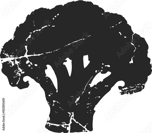 Black broccoli silhouette with distressed texture isolated on white background