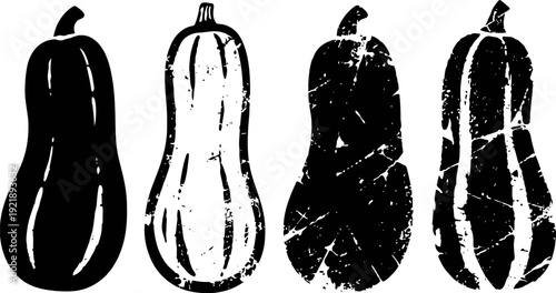butternut squash silhouettes set, vintage distressed vegetable illustrations, autumn harvest design