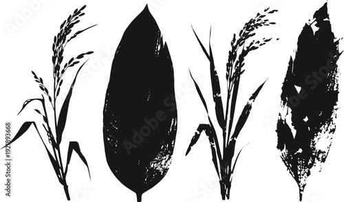 Black silhouette isolated leaves and grass plants set natural foliage shapes with texture details