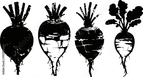 grunge beetroot silhouettes with leaves set root vegetables illustration in vintage