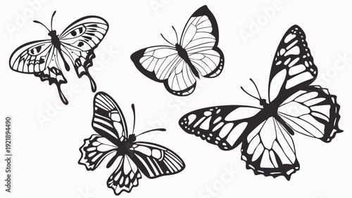 Black And White Butterfly Silhouettes Collection For Nature Design Spring Invitations Tattoo Art Or Scrapbooking Projects
