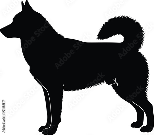 Black husky dog silhouette vector illustration, siberian spitz breed standing profile, domestic pet animal icon isolated on white background, canine graphic.