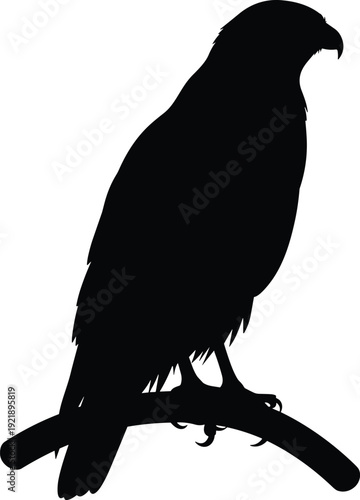 Black eagle silhouette vector illustration perched on branch, predatory bird of prey icon, wildlife hawk nature graphic isolated on white.