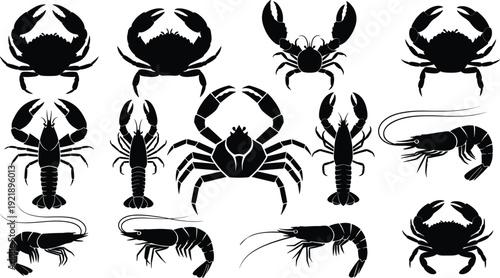 Seafood silhouette collection vector illustration with crab lobster and shrimp, marine animal icons isolated on white background for restaurant menu.
