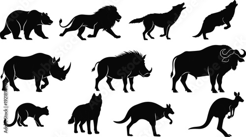 Wild animal silhouette collection vector illustration, variety of forest and safari animals including lion bear and kangaroo, isolated on white.