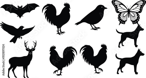 Animal silhouettes, bat, bird, rooster, butterfly, dog, deer, wildlife icons, black illustration, nature design, educational art, graphic symbols