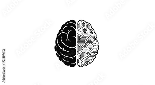 black and white brain illustration left and right side
