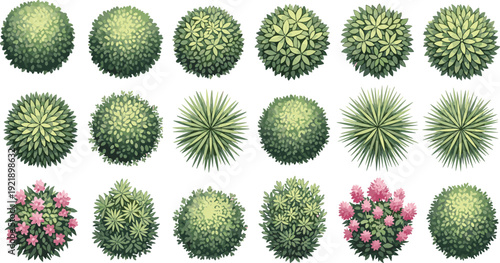 Set of decorated Christmas trees, flat vector illustration for holiday celebration design, festive winter decoration elements isolated collection bundleSet of decorated Christmas trees, flat vector 