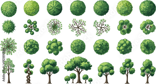 Tree, collection, vector, illustration, top, view, set, green, foliage, nature, design, isolated, background, landscape, elements, botanical, clipart, park, map, assets