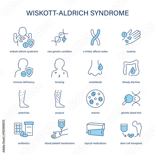 Wiskott-Aldrich Syndrome symptoms, diagnostic and treatment vector icon set