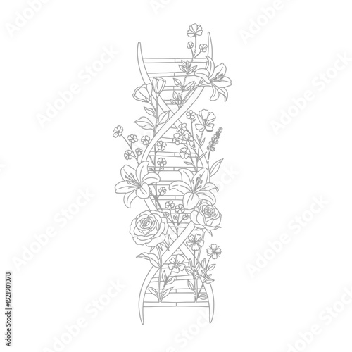 Linear dna strand intertwined with elegant rose and lily flower blossoms artwork