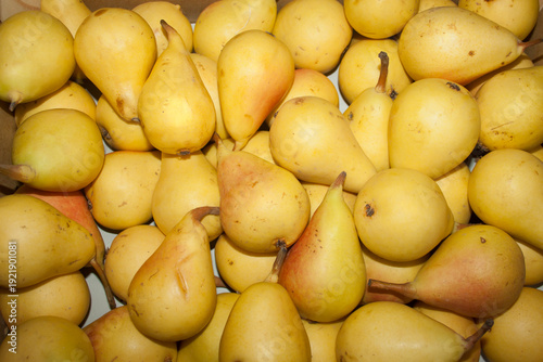 Yellow ripe mouth-watering seasonal pears .