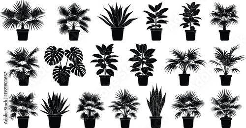 Black Silhouette Collection of Potted Houseplants Featuring Monstera, Tropical Palms, Succulents, and Snake Plants Isolated on White Background for Minimalist Graphic Design