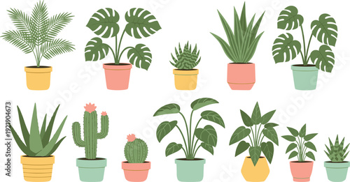 Collection of Potted Houseplants Illustration Featuring Monstera Deliciosa, Succulents, Cacti, and Tropical Palm Leaves in Modern Colorful Ceramic Pots Isolated