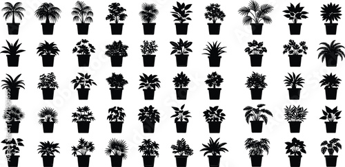 Set of Fifty Black Silhouette Indoor Houseplants and Tropical Potted Greenery Vector Icons for Minimalist Interior Home Decor and Botanical Designs
