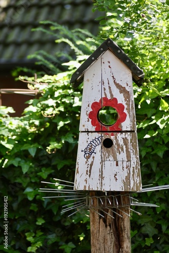 Weathered wooden birdhouse in green garden with ivy