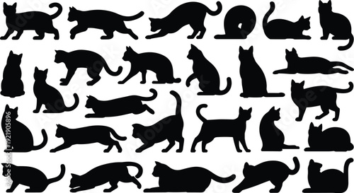 Cat silhouettes collection, various domestic feline poses isolated on white background pet animal vector illustration set
