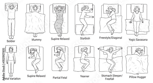 Illustrated Guide to Common Sleeping Positions and Postures for Better Sleep and Body Alignment