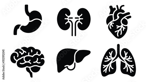 Human Organs Silhouettes