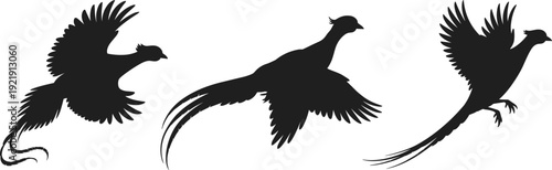 Group of happy diverse children standing in a row holding hands, kindergarten classmates together, childhood friendship and education concept, isolated vector silhouette.