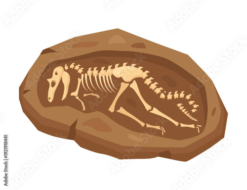 Dinosaur fossil skeleton in rock stone ancient archaeological find