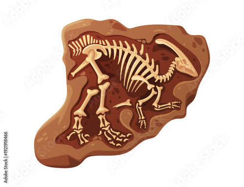 Ancient mammal animal skeleton fossil embedded in stone
