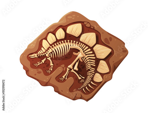 Stegosaurus Dinosaur Skeleton Fossil in Rock
