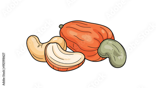 Close-up illustration of whole cashew nuts and the cashew apple, showcasing the tropical fruit and its popular kidney-shaped seed.