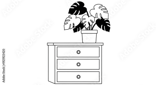 Monstera plant in a pot on a wooden dresser.
