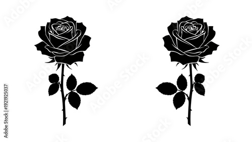 Two black rose silhouettes with stems and leaves on a white background