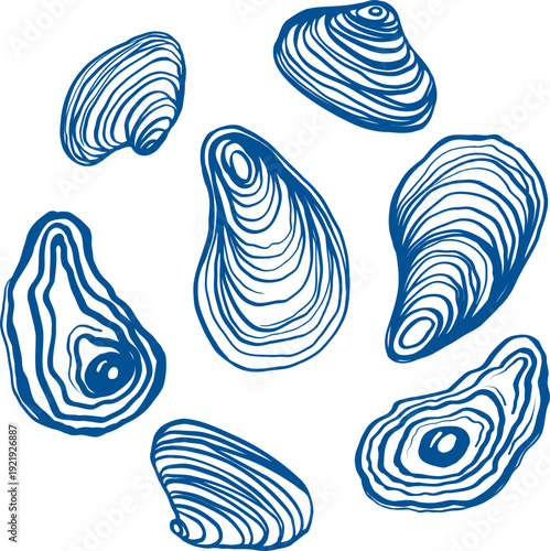 Set of fresh oysters in blue line art