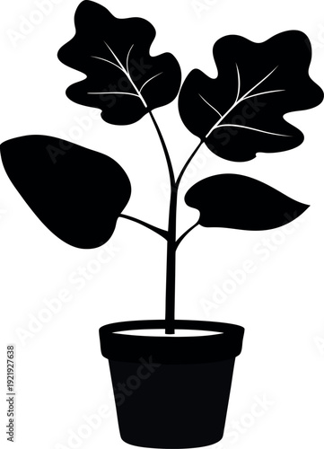 Fiddle leaf fig plant silhouette with four broad leaves