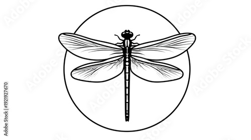 A simple, symmetrical black-and-white illustration of a dragonfly inside of a circular frame