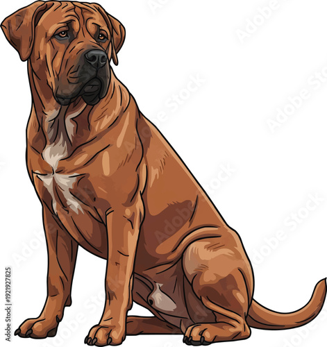 Tosa Inu dog sitting alert attentive looking away illustration