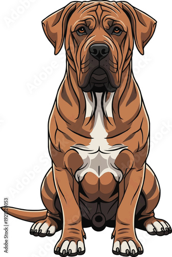 Tosa Inu dog sitting alert attentive facing front illustration