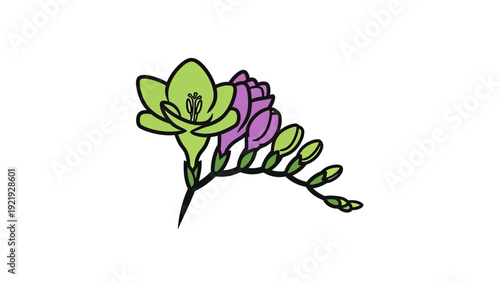 A vector illustration depicts a stalk with flowers and buds in shades of green and purple