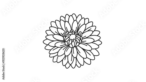A circular outline drawing of a flower. Petals are arranged around a detailed center