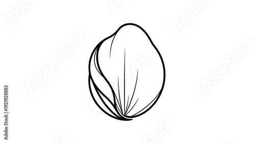 A minimalist illustration of a round object, with thick outline and interior lines