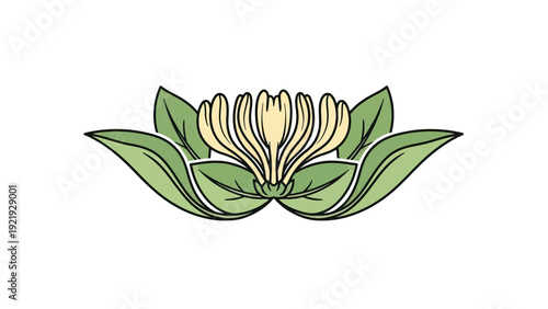 A stylized illustration features a flower blossom with creamy petals, surrounded by green leaves