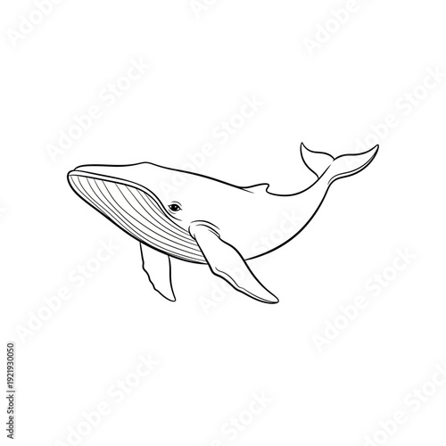 Simple black and white illustration of a whale swimming in the ocean viewed from the side