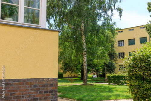 Gepflegter grüner Innenhof einer städtischen Wohnanlage mit einer markanten Birke und gelben Wohnhäusern im Sommer