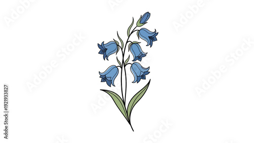 A stem of bluebell flowers, in a simple, stylized illustration on a white background