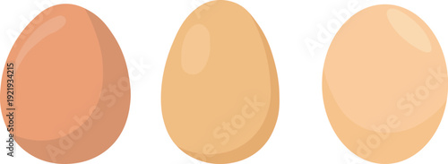 Set of brown and white eggs flat vector illustration on transparent background