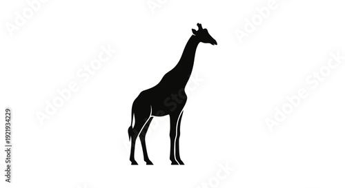 Black silhouette of a giraffe standing.